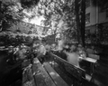 Pinhole Day Wo&hellip;