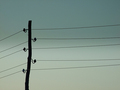 sky playing