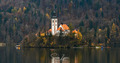 Bled