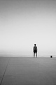 Horizont...