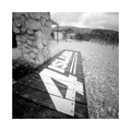 Pinhole day 20…