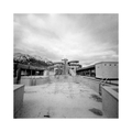 Pinhole day 20…