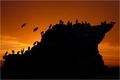 Bloody Sunset &hellip;