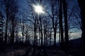 sun is up